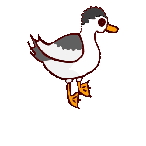Ducks Waterfowl Sticker