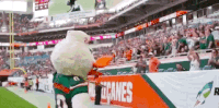 College Football GIF by Miami Hurricanes