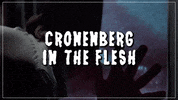 GIF by Coolidge Corner Theatre