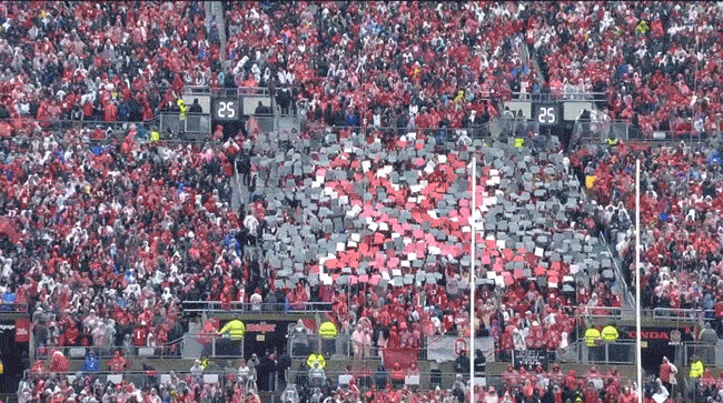 Ohio State Fans GIF by Ohio State Athletics