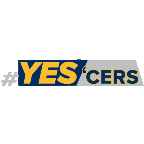 Nba Playoffs Basketball Sticker by SportsManias