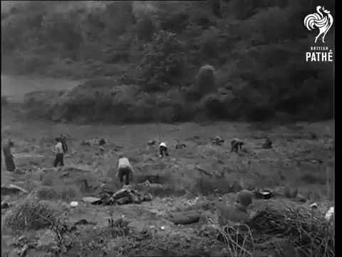 joris1944 giphygifmaker GIF