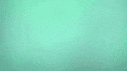 Spring 2024 GIF by CTHROU
