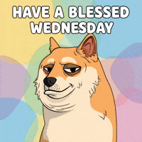 Greeting Good Vibes GIF by Doge Pound