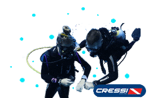 Dive Yes Sticker by Cressi1946