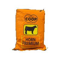 Co-Op Champion Sticker by Producers CoOp