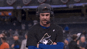 Blue Jays Baseball GIF by Toronto Blue Jays