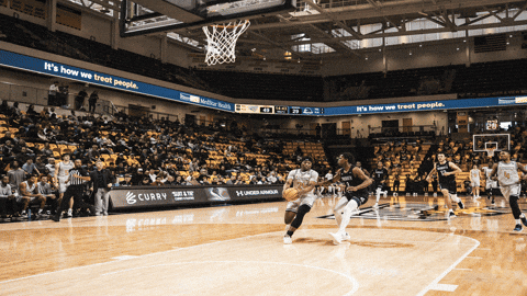 Stop Motion Basketball GIF by Towson University