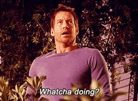 desperate housewives GIF