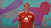 Union Berlin Football GIF by Bundesliga