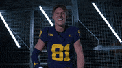 Go Blue Ncaa Football GIF by Michigan Athletics