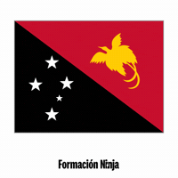 Papua New Guinea Flag GIF by Formación Ninja