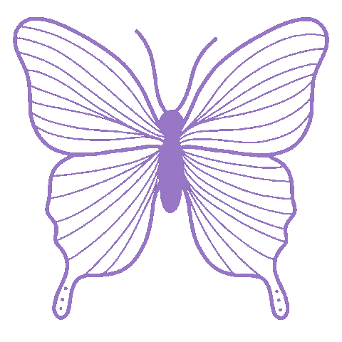 Fly Butterfly Sticker