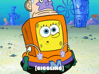 season 6 GIF by SpongeBob SquarePants