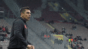 Ksv Holstein Coach GIF by Holstein Kiel