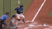 Regular Season Sport GIF by MLB