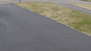 Rolling Happy Sunday GIF by No Cheese Records