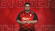 Fc Augsburg Vbl GIF by Bundesliga