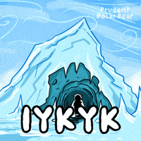 Know Polar Bear GIF by VeeFriends