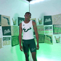 South Florida Horns Up GIF by USF Athletics