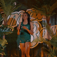 South Florida Horns Up GIF by USF Athletics