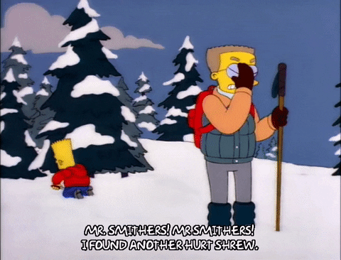 bart simpson waylan smithers GIF