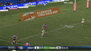 Nrl GIF by Canberra Raiders