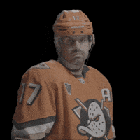 Alex Killorn GIF by Anaheim Ducks