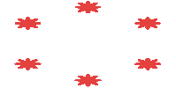Film Flower Sticker by Images Festival