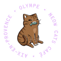 Aix-En-Provence Cute Cat Sticker by Meow Cats Café