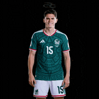 Fifa World Cup Mexico GIF by Respective