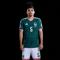 Fifa World Cup Mexico GIF by Respective