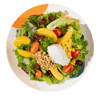 Salad Sticker by 스윗밸런스 sweetbalance