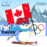 Winter Olympics Penguin GIF by Pudgy Penguins