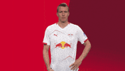 Football Applause GIF by RB Leipzig