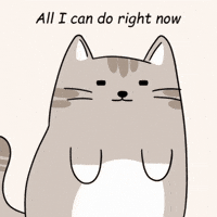 Cat Stay Strong GIF by MESA My Emotional Support Animal