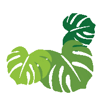 Jesswij leaf leaves border monstera Sticker
