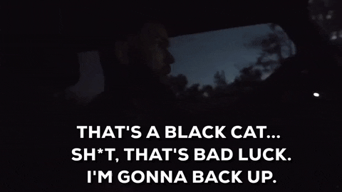 Black Cat Ufc217 GIF by UFC