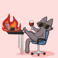 equmi fire im fine equmi equmi the cat GIF