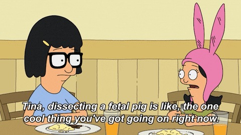 Not Cool Comedy GIF by Bob's Burgers