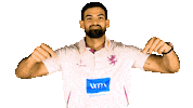 Wpa Sticker by Somerset County Cricket Club