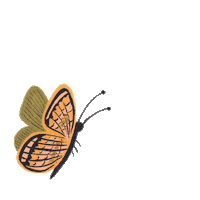 Butterfly Sticker by Rifle Paper Co.
