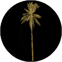 raawbytrice palmtree raaw raawbytrice goldenpalm Sticker