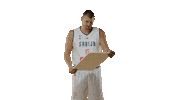 Olympic Nikolajokic Sticker by sportmts