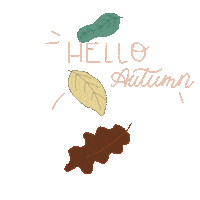 Sticker Hello Sticker