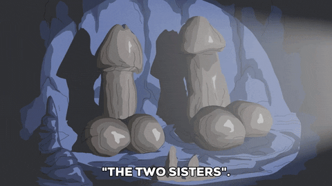 the two sisters wtf GIF by South Park 