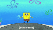 season 9 GIF by SpongeBob SquarePants