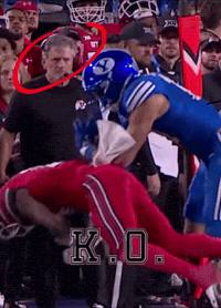 Cougzcorner GIF