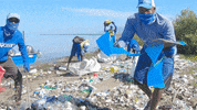 Earth Day GIF by 4ocean
