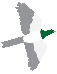 New Zealand Nz Birds Sticker by Melissa Boardman